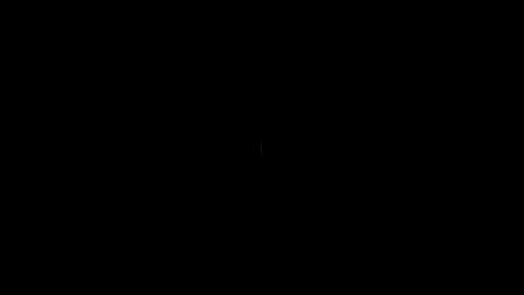 33653